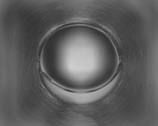 X0000083991363200702232100