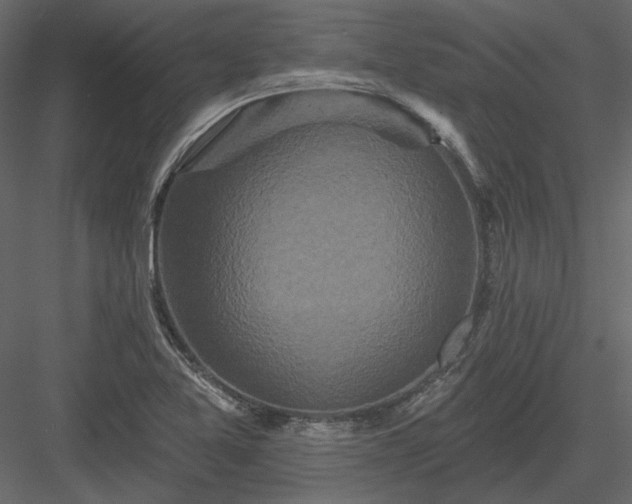 X0000083991365200702232100