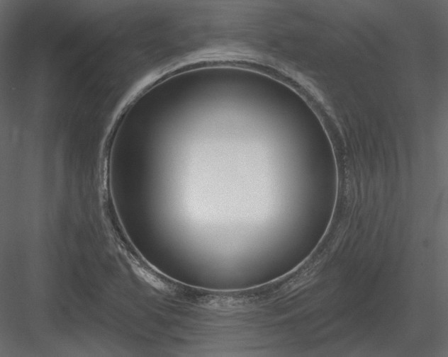 X0000083991366200702232100