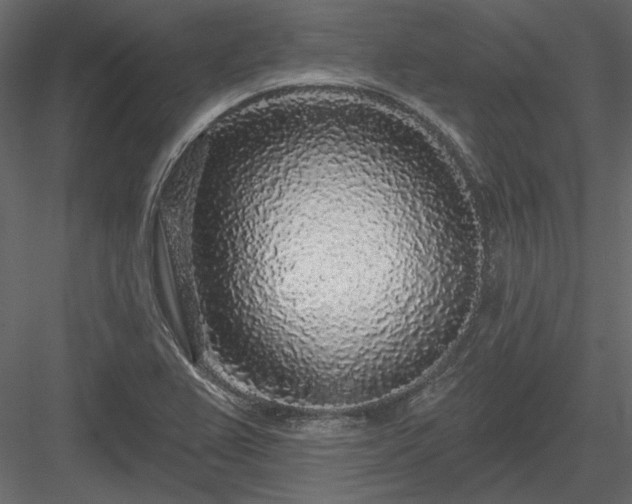 X0000083991367200702232100