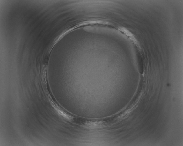 X0000083991369200702232100