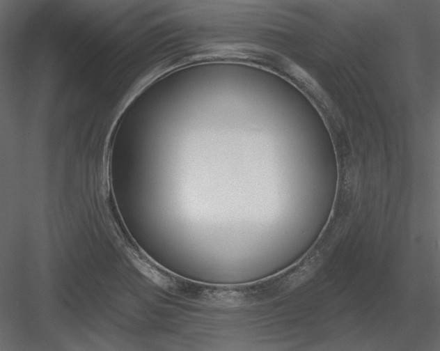 X0000083991370200702232100