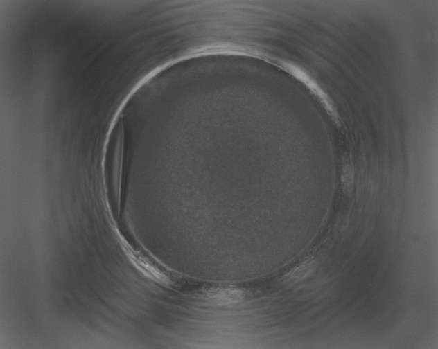 X0000083991372200702232100