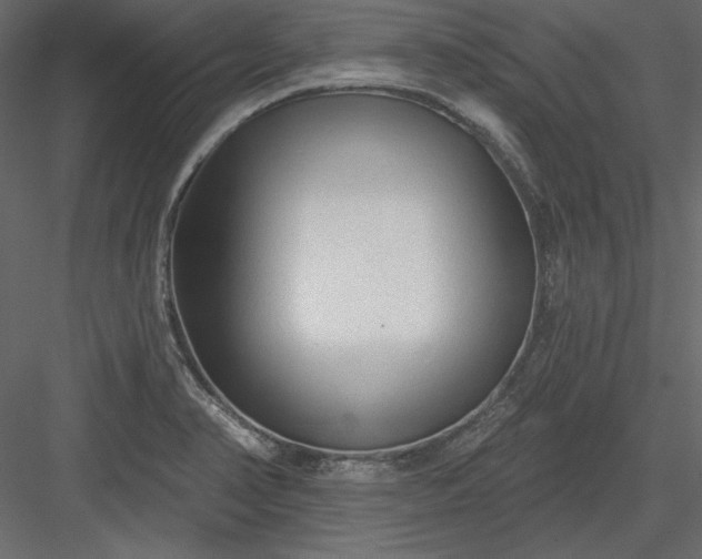 X0000083991374200702232100