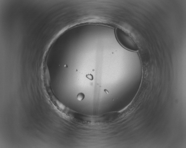 X0000083991375200702232100