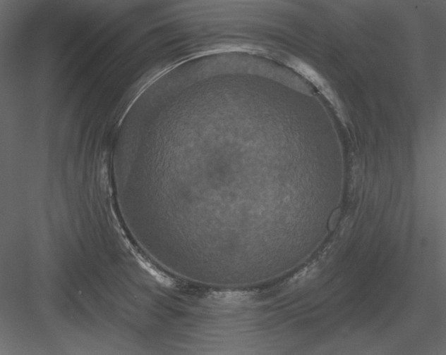 X0000083991377200702232059