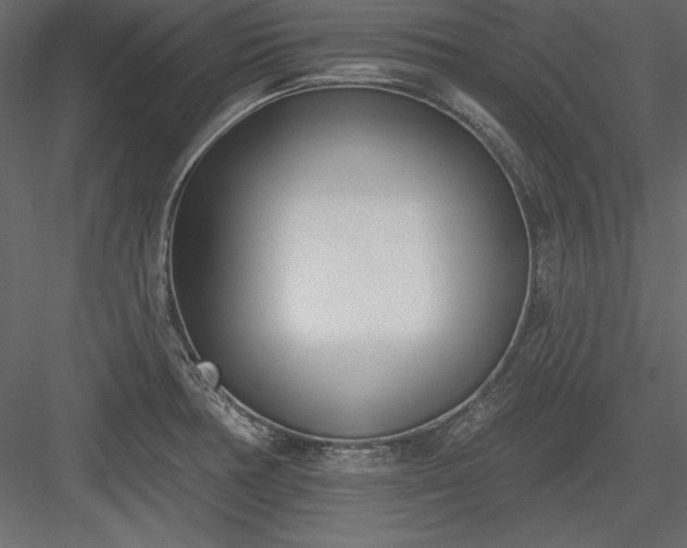 X0000083991378200702232059