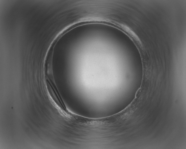 X0000083991380200702232059