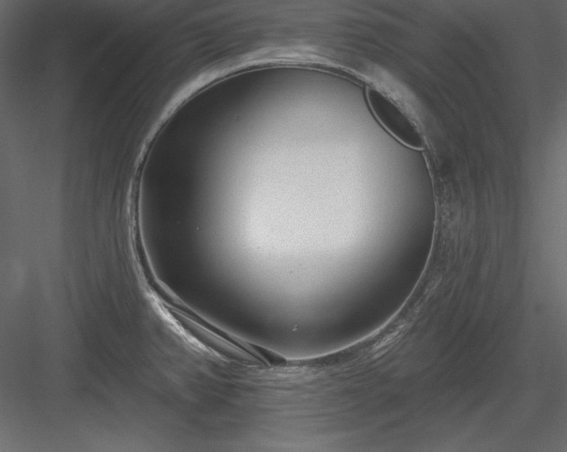 X0000083991382200702232059