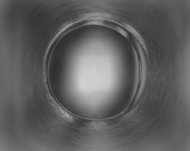 X0000083991384200702232059