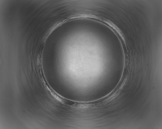 X0000083991385200702232059