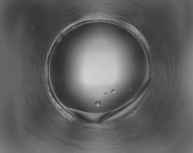 X0000083991388200702232059