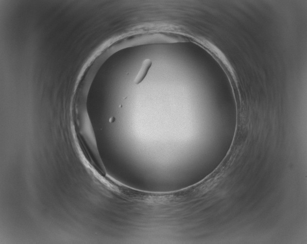 X0000083991389200702232059