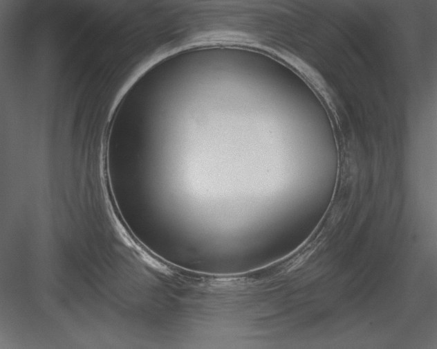 X0000083991390200702232059