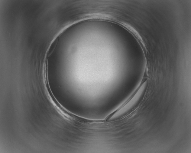 X0000083991391200702232059