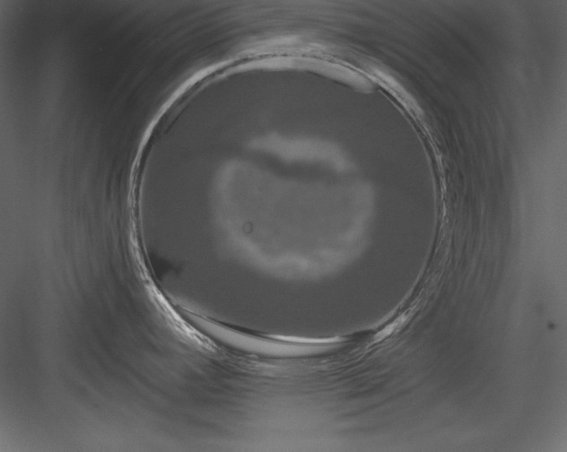 X0000083991392200702232059