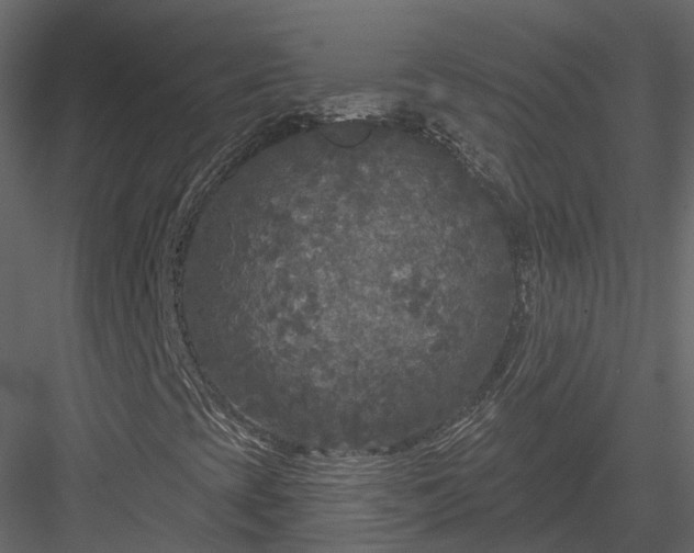 X0000083991393200702232058