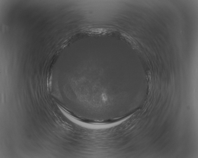 X0000083991394200702232058