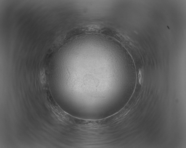 X0000083991395200702232058