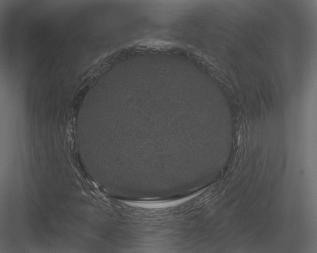 X0000083991397200702232058