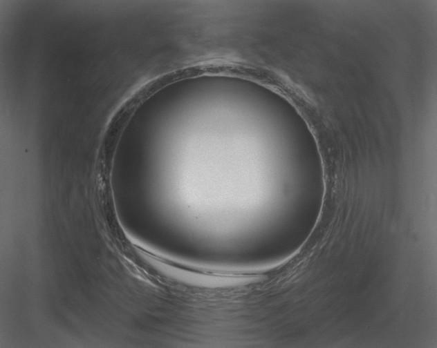 X0000083991400200702232059