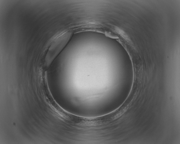 X0000083991402200702232059