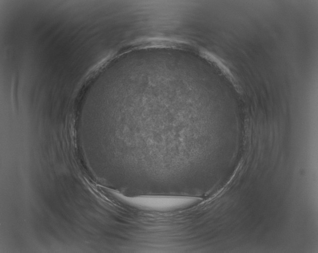 X0000083991403200702232059