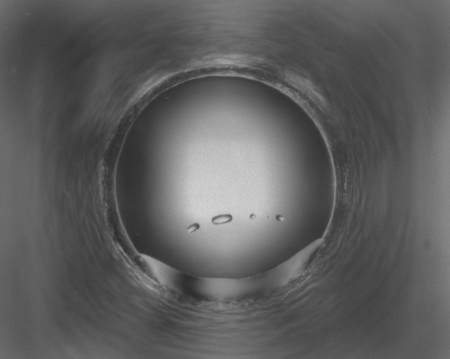 X0000083991404200702232059