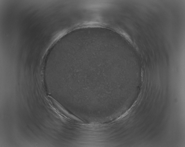 X0000083991405200702232059