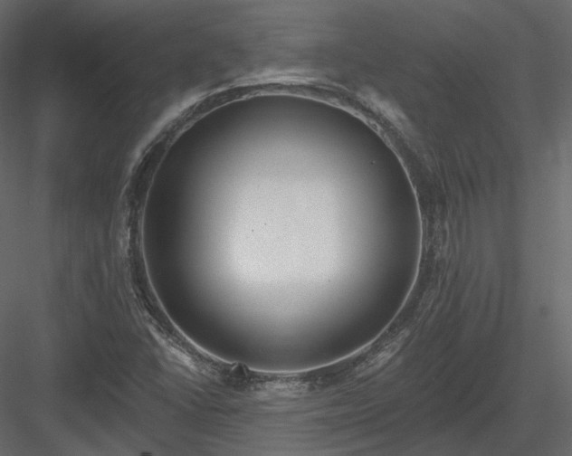 X0000083991406200702232059