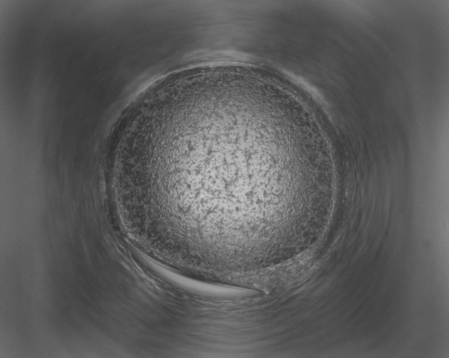 X0000083991407200702232059