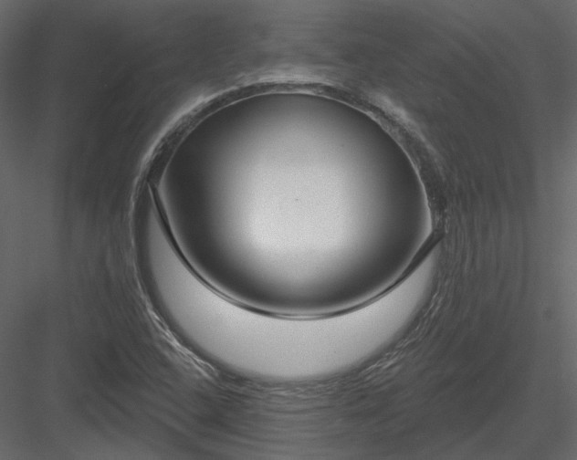 X0000083991408200702232059