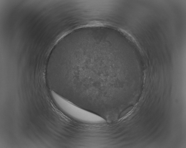 X0000083991409200702232059