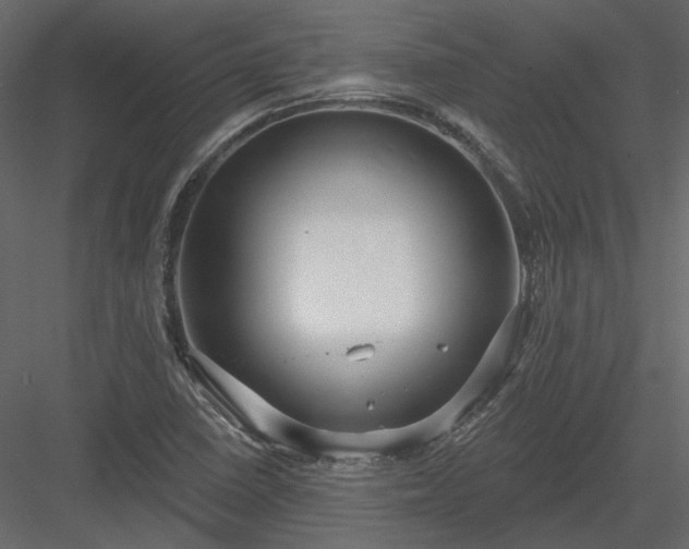 X0000083991410200702232059