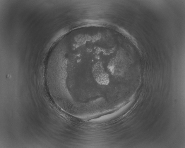 X0000083991411200702232059