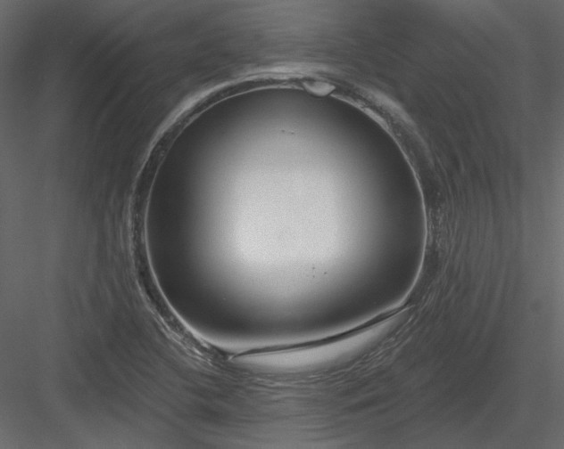 X0000083991412200702232059