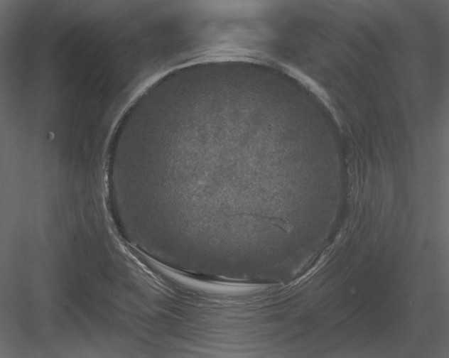 X0000083991415200702232059