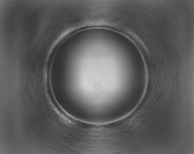 X0000083991416200702232059