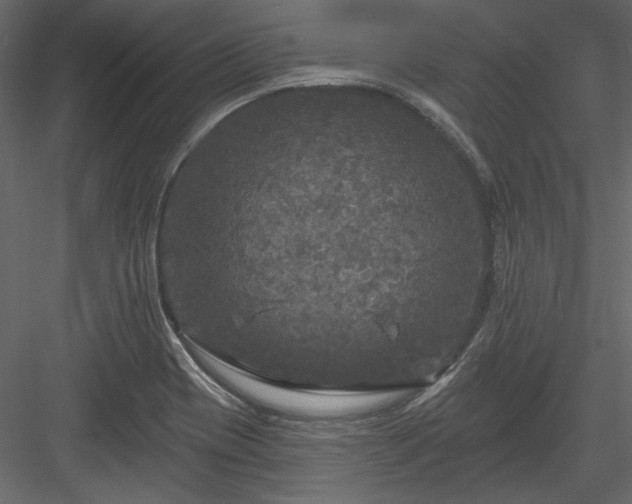 X0000083991417200702232059