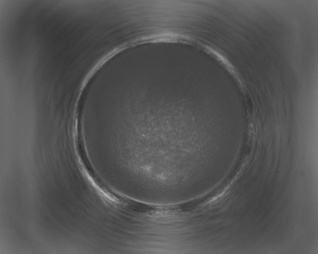 X0000083991418200702232059