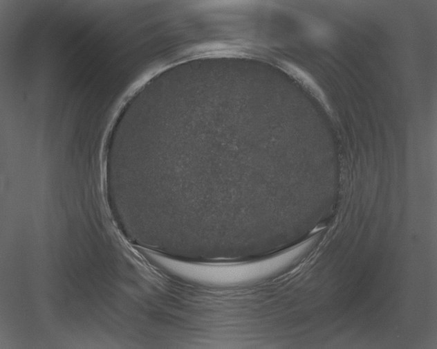 X0000083991419200702232059