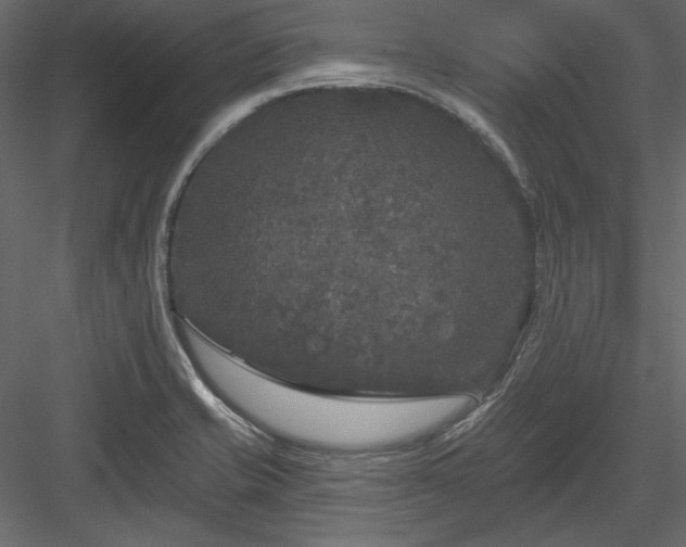 X0000083991421200702232059