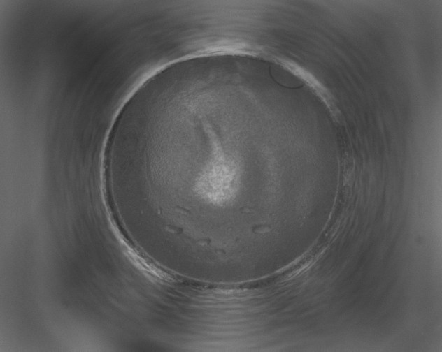 X0000083991423200702232059