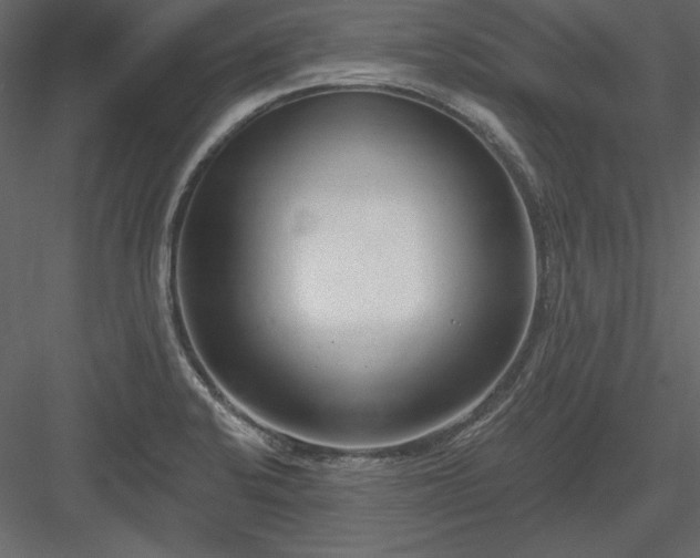 X0000083991424200702232059