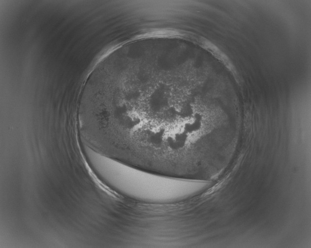 X0000083991425200702232059