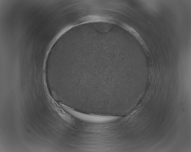 X0000083991427200702232059