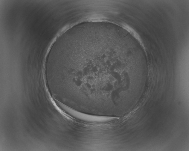 X0000083991429200702232059