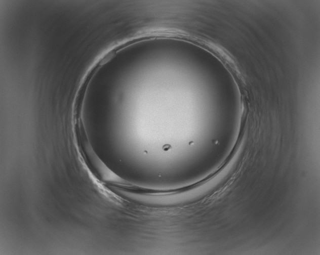 X0000083991430200702232059