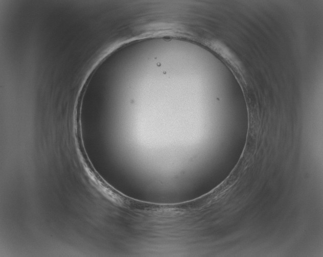 X0000083991431200702232059