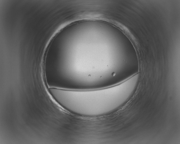 X0000083991432200702232059